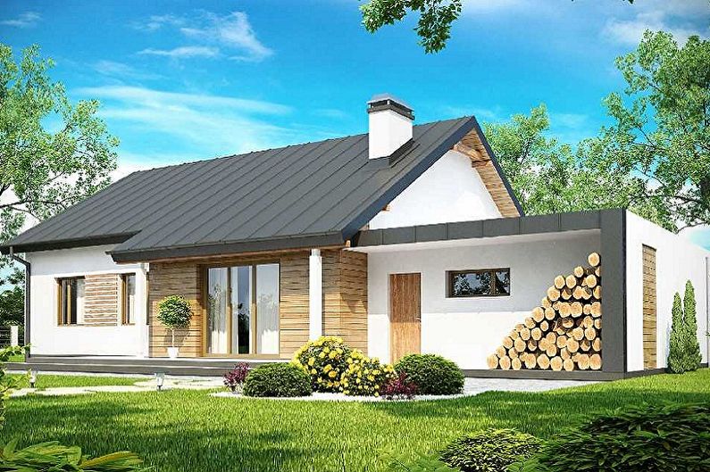Moderne projekter af en-etagers huse med en garage - En-etagers hus med en garage og en sauna