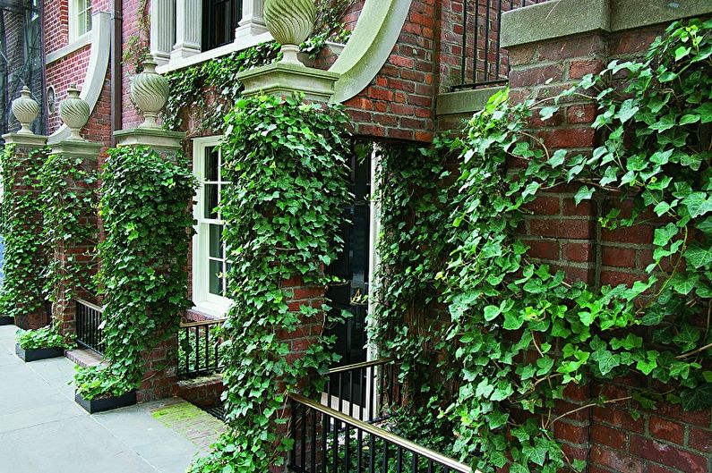 Giardinaggio verticale in architettura paesaggistica - Quali piante scegliere