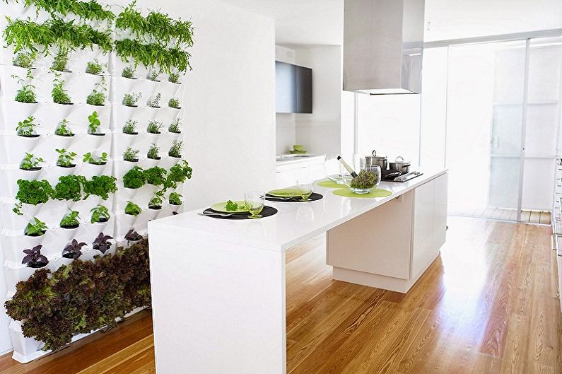Vertikal hagearbeid i interiøret - Hvilke planter du skal velge for interiøret