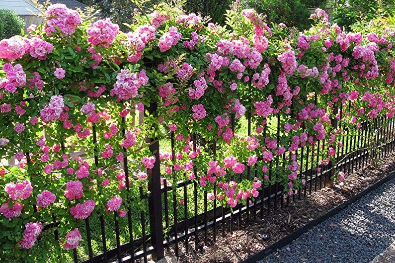 Smidda staketdesignidéer - Living Plant Fence Decor