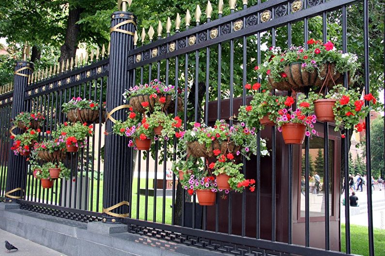 Forged Fence Design Ideas - Living Plant Fence Decor