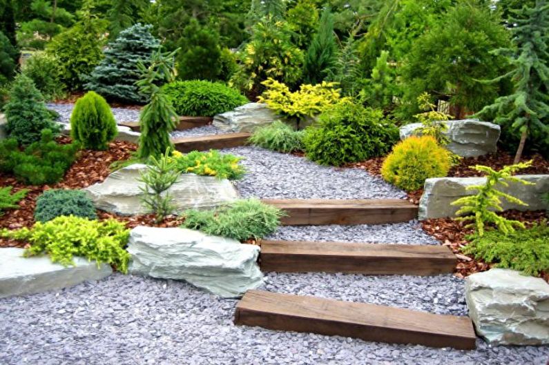 Conifers for landscape design - What plants to plant conifers with