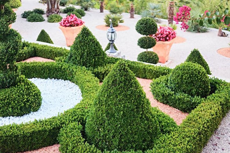 Skujkoki ainavu dizainam - dārza ar skujkokiem stila dizains