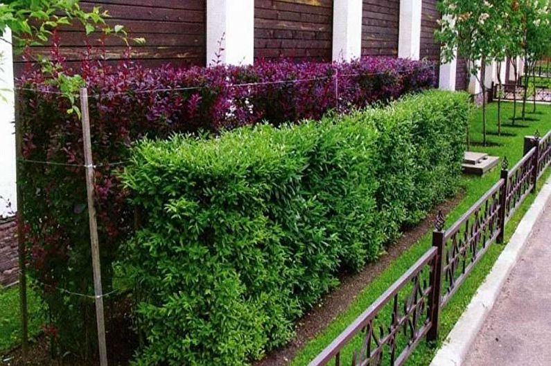 Decor for a fence for a private house - photo