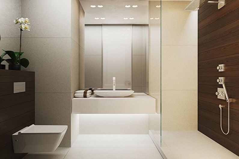 Maliit na banyo sa estilo ng minimalism - Disenyo sa Panloob